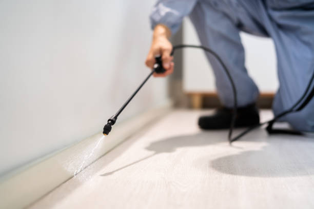 Licensed Cockroach Control service in St. Ansgar, IA - Nex Pest Control