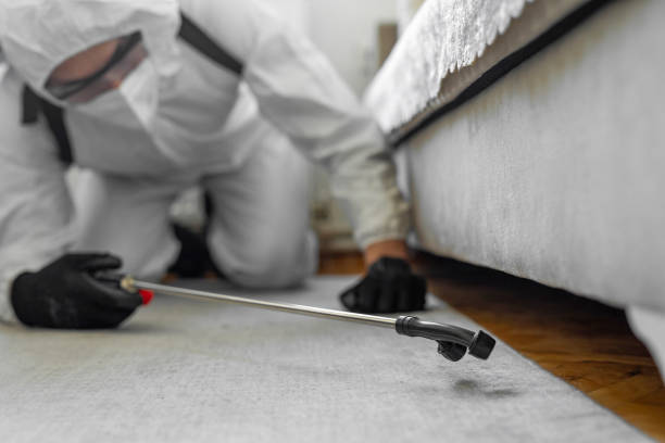 Professional Cockroach Control technician working in St. Ansgar, IA