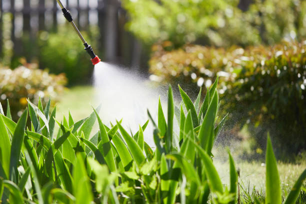 24/7 Emergency Cockroach Control experts in St. Ansgar, IA