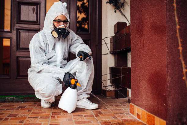 Reliable Cockroach Control contractor in St. Ansgar, IA by Nex Pest Control