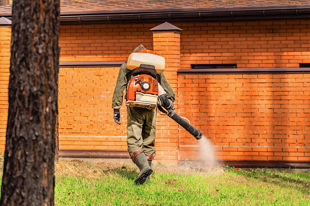Trusted Cockroach Control service in St. Ansgar, IA - Nex Pest Control